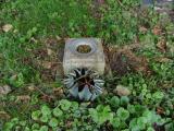 image of grave number 819873